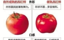乙烯利既能调节植物生长，又能催熟果实，是什么功能产生两种功效
