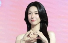 政审的重要性：韩国女星安何英翻车事件