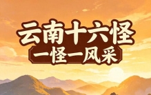 云南十六怪，一怪一风采