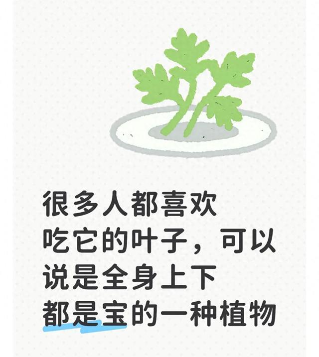 很多人都喜欢吃它的叶子，可以说是全身上下都是宝的一种植物