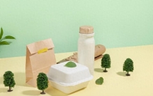 光合作用：植物是如何"吃饭"的
