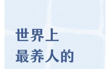 世界上最养人的十件事情。