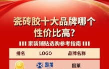 瓷砖胶十大品牌哪个性价比高？家装铺贴选购参考指南
