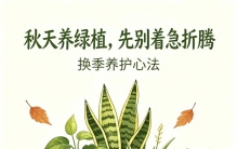 换季养护心法