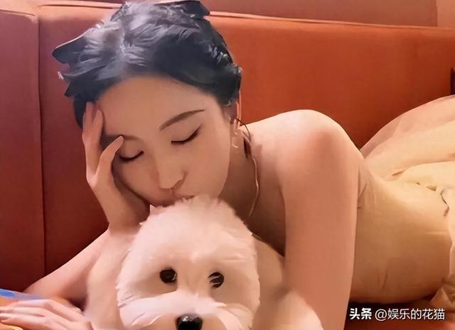 38 岁刘亦菲七夕抱狗亮相!颜值封神,却没人知道她这个好习惯
