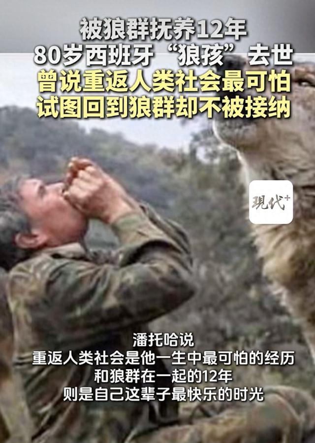 西班牙“狼孩”去世,被狼群抚养12年,曾说重返人类社会最可怕,试图回到狼群却不被接纳
