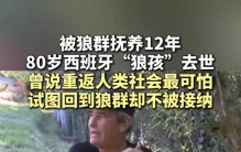 80岁西班牙“狼孩”去世，被狼群抚养12年，曾说重返人类社会最可怕，试图回到狼群却不被接纳；以其为原型的故事被拍摄成电影《与狼共伍》