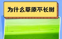 为什么草原遍地是草，却长不出参天大树？
