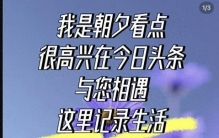 为什么草原上只有草，而没有大树呢。植物的生长？