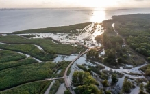长江口唯一自然潮汐淡水沼泽：西沙湿地潮汐有何独特规律？
