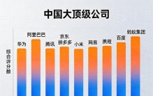 中国十大顶级公司