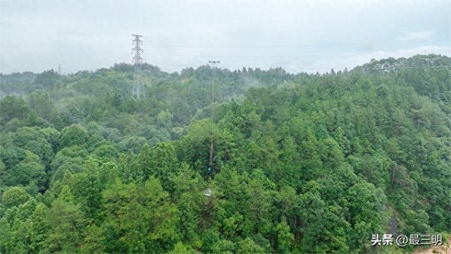 青山绿水间 无人机“轻”筑零碳路——以科技之力守护生态底色