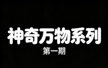 冷知识大开眼界！神奇万物系列第一期•动物篇:25个神奇动物之最