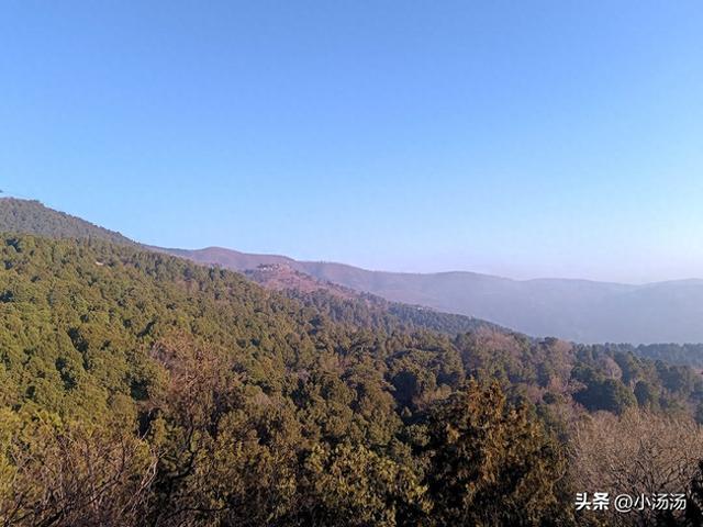 北京西山传来好消息！海淀发现4种植物新记录，生态真是越来越好