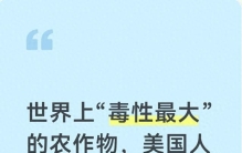 世界上"毒性最大"的农作物，美国人不敢吃，在我国却备受欢迎