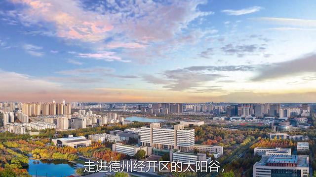 山东德州,到底骗了多少人?居然拥有4个“中国之最”!
