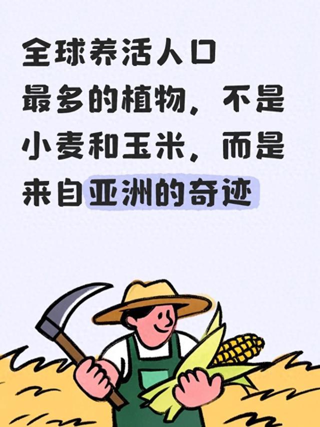 全球养活人口最多的植物,不是小麦和玉米,而是来自亚洲的奇迹