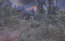 山野奇闻