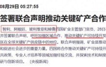 四个南美国家，能搅动全球新能源格局吗？