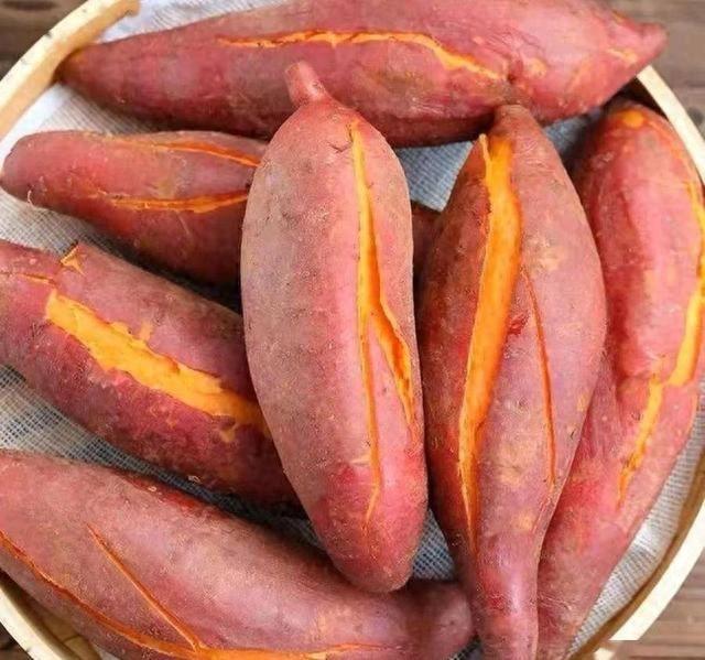 **4大长寿食物排行，白菜竟排第一，小米才第三，你吃对了吗？