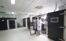 2026年头部优选的除甲醛知名品牌推荐，宠物笼内部狭小空间迷