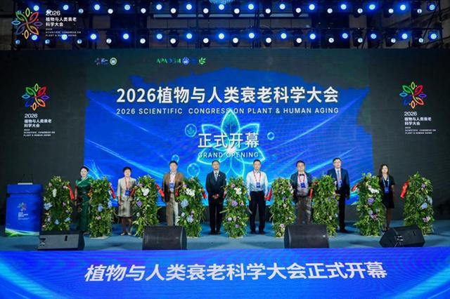 蘑菇、全谷物、大豆,这场抗衰老大会上的三个“明星”