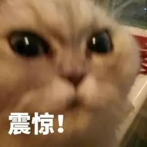 全球最大，谷歌Figure排队买，这个团队，撑起硅谷最火机器人