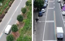 AI破解配送堵点“跑出”产业发展新速度 一张有速度、有温度的智慧物流网持续延伸