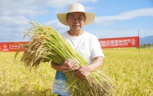 “最美教师”张福锁：课堂搬进庄稼地，扎根科技解民生