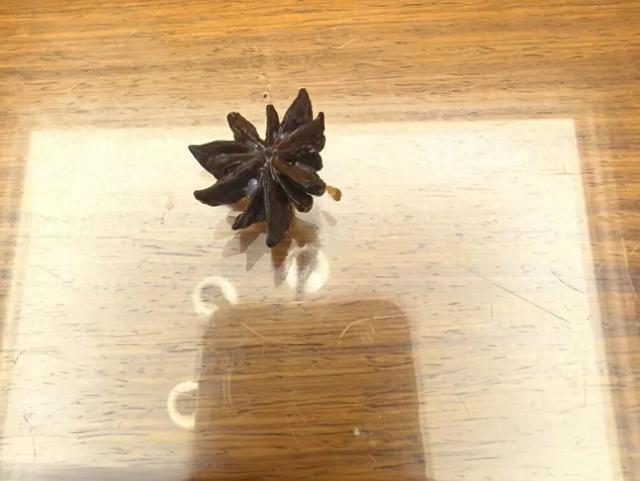 超市买八角,却有13个角?药师:莽草含剧毒,量大可引起心衰