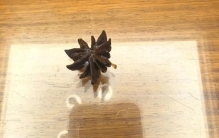 超市买八角，却有13个角？药师：莽草含剧毒，量大可引起心衰