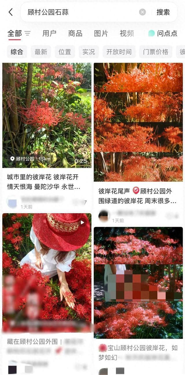 “大片大片被踩倒…”上海网红花海刷屏,网友却直呼痛心…紧急提醒:全株有毒,别碰!