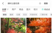 “大片大片被踩倒…”上海网红花海刷屏，网友却直呼痛心…紧急提醒：全株有毒，别碰！