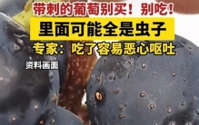 警惕，这样的葡萄里面都是虫？近期大量出现，别随便吃