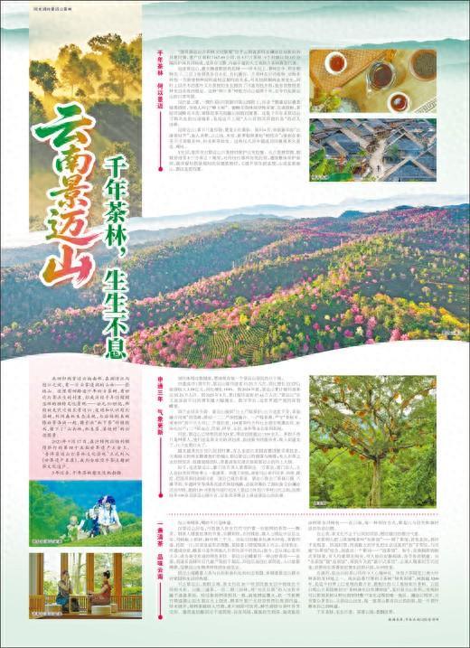 云南景迈山千年茶林,生生不息