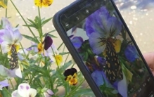 看见不认识的花草，打开这个设置，扫一下就能知道名字