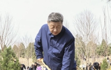 一见·“赋能型大国”，向绿而行、以绿赋能
