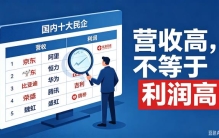 国内十大民企，别被营收榜单骗了