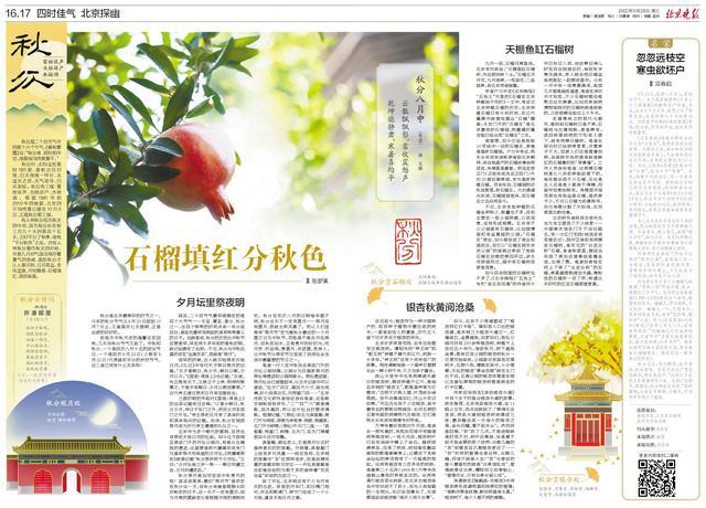 秋分时节,在哪探访祭月遗迹,在哪赏石榴填红和银杏秋黄?