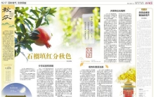 秋分时节，在哪探访祭月遗迹，在哪赏石榴填红和银杏秋黄？