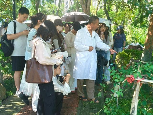 记者手记:走近痴迷中医药的中国新生代