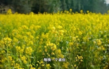 “这是中国长的最奇葩，名字也是最多的一种植物”