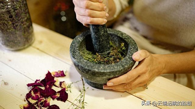 有些植物不只好看,还"救过命"——植物界的4座"药房"