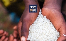 别再搞错！全球头号主粮居然不是大米