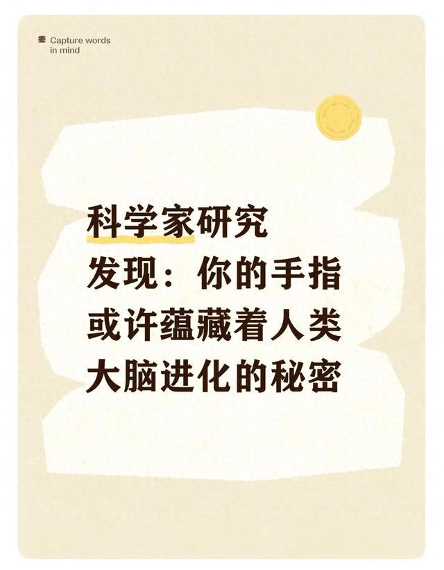 科学家研究发现:你的手指或许蕴藏着人类大脑进化的秘密