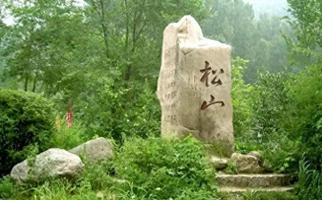 全球仅两株到七百株!北京“最孤独植物”迎丰收