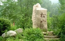全球仅两株到七百株！北京“最孤独植物”迎丰收