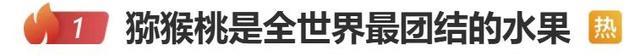 "猕猴桃是全世界最团结的水果"上热搜!网友吐槽:太真实!