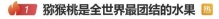 "猕猴桃是全世界最团结的水果"上热搜！网友吐槽：太真实！