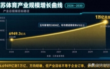 江苏体育产业冲击万亿，苏超带火赛事经济，体育器材公司分化明显